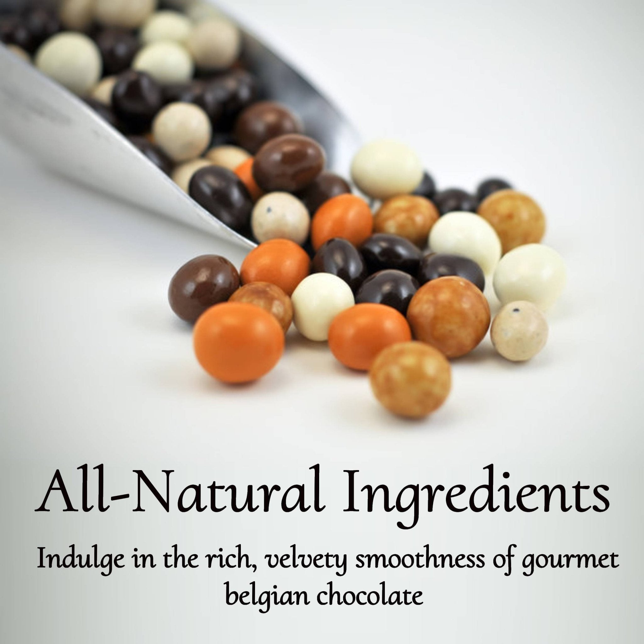 Andy Anand Espresso Coffee Belgian Chocolate Assortment, 5 Flavors, 1 lb – 60% Cocoa Butter, Gourmet Gift Box, Birthday & Holiday Occasions