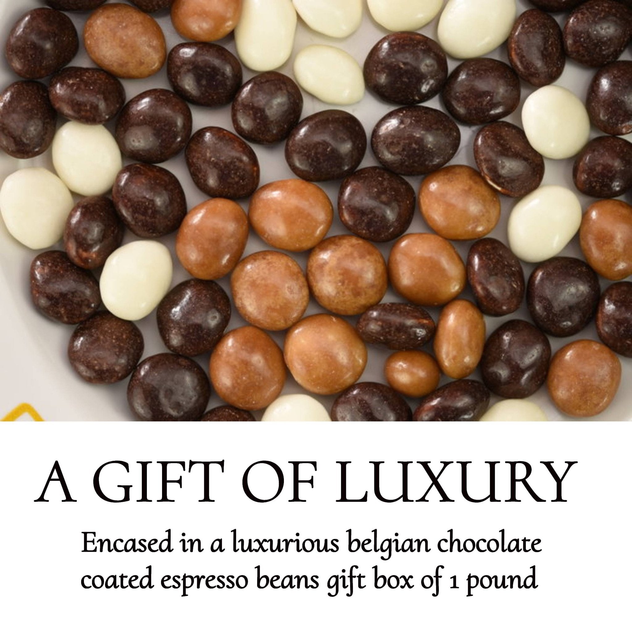 Andy Anand Espresso Coffee Belgian Chocolate Assortment, 5 Flavors, 1 lb – 60% Cocoa Butter, Gourmet Gift Box, Birthday & Holiday Occasions